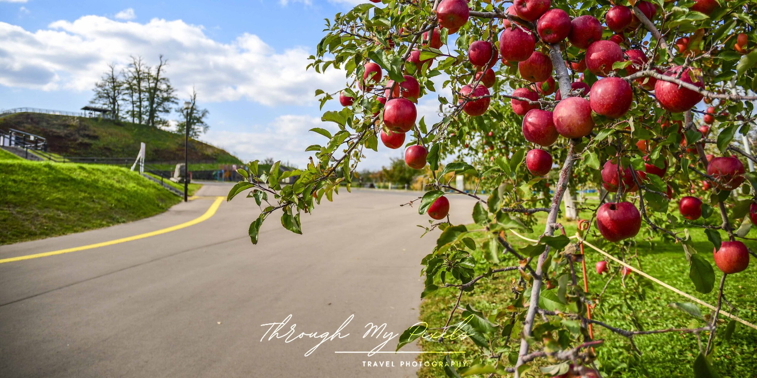 Apple Kingdom ~ Hirosaki City Apple Park