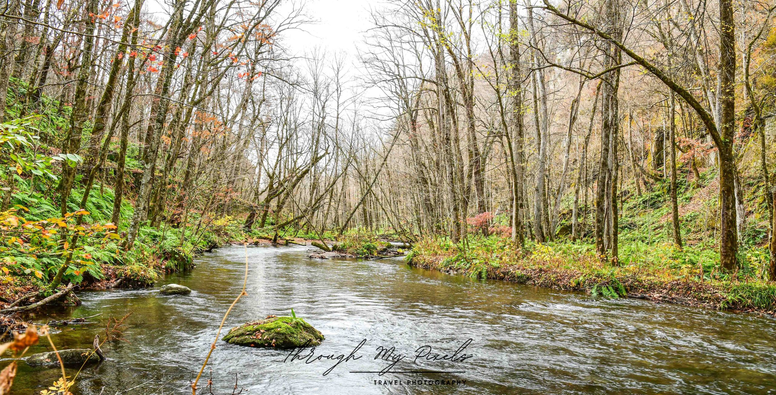 Oirase Gorge