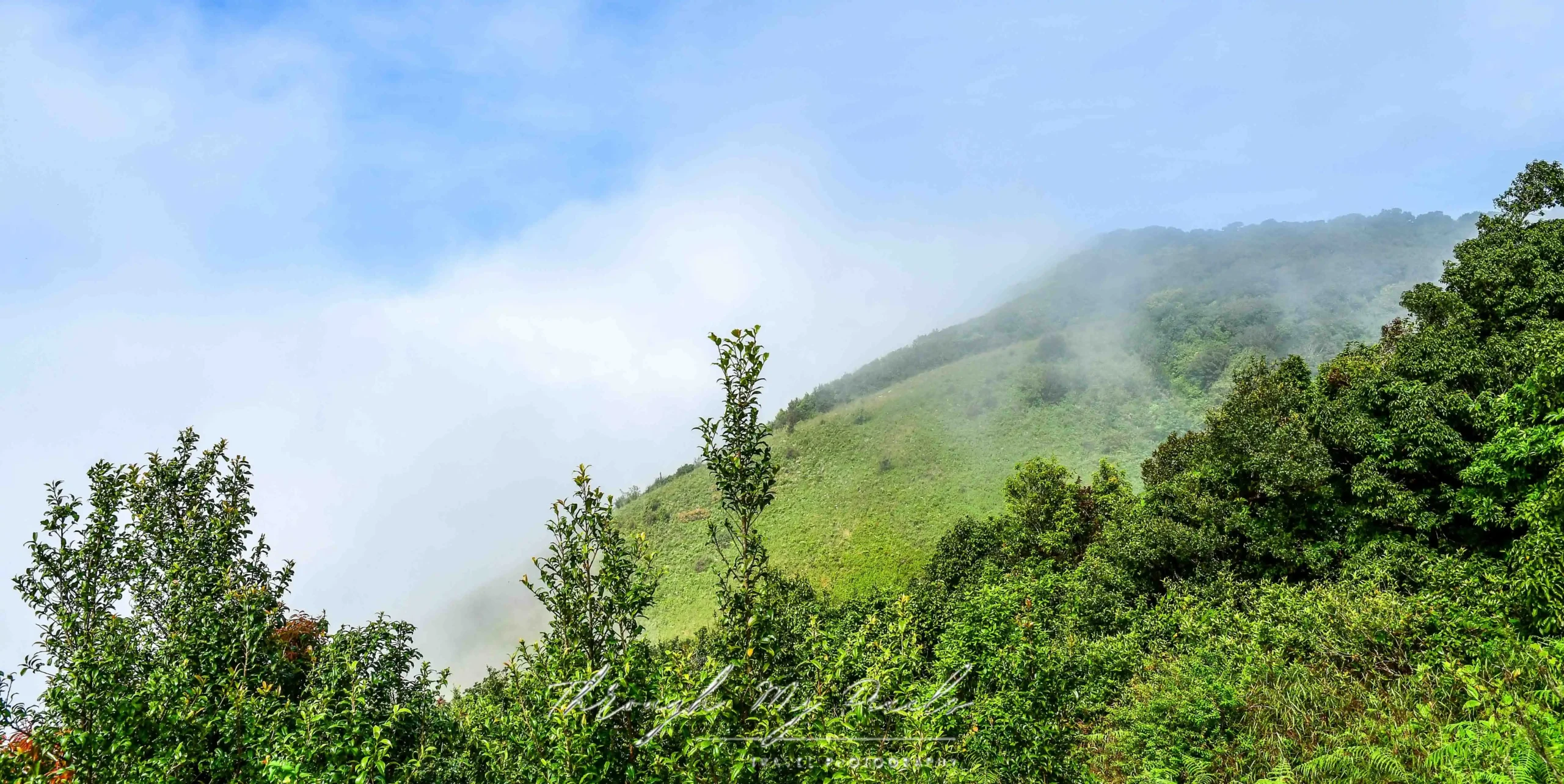 At the roof of Thailand ~       Doi Inthanon National Park