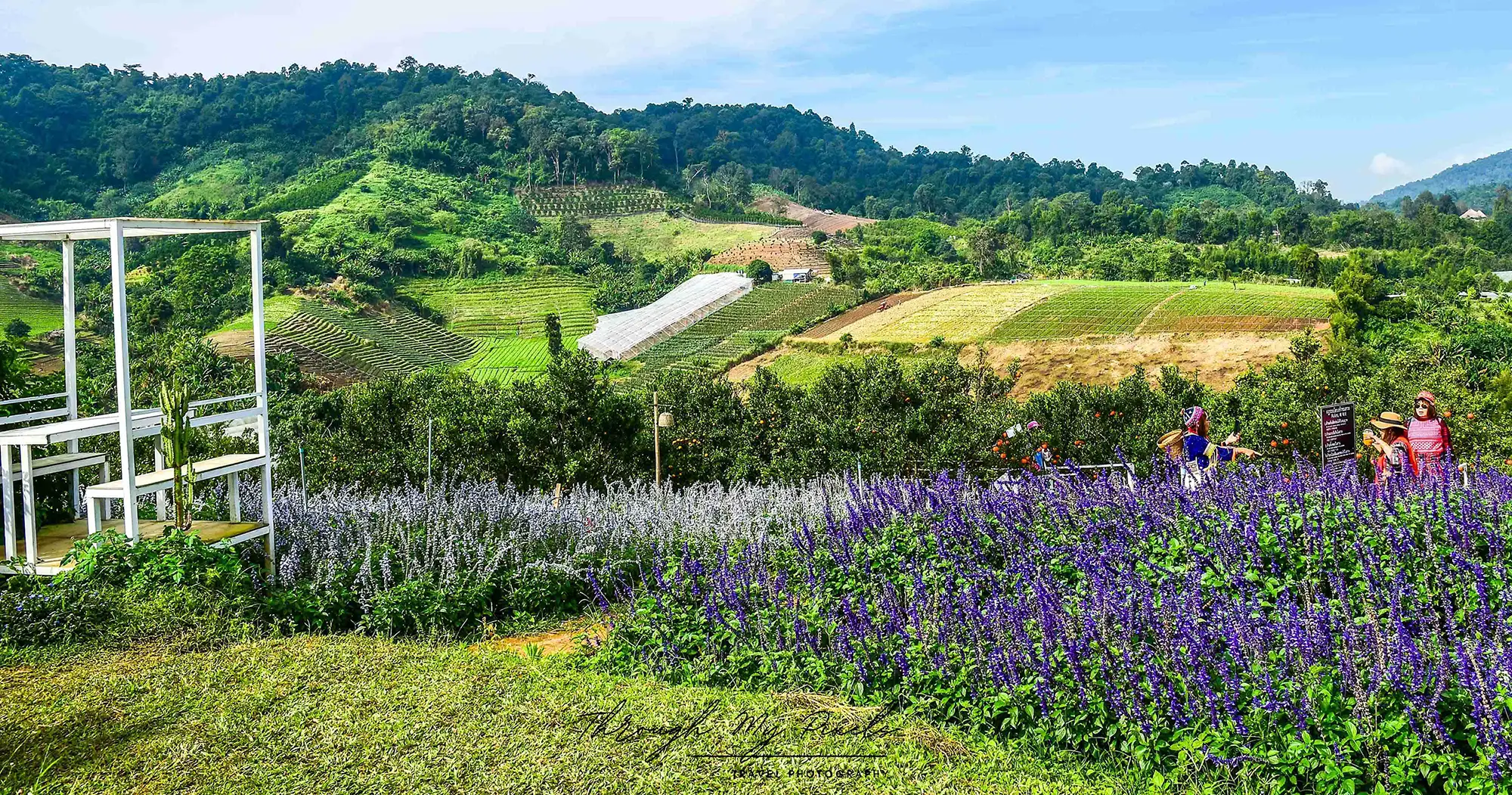 Be enchanted, with Mae Rim